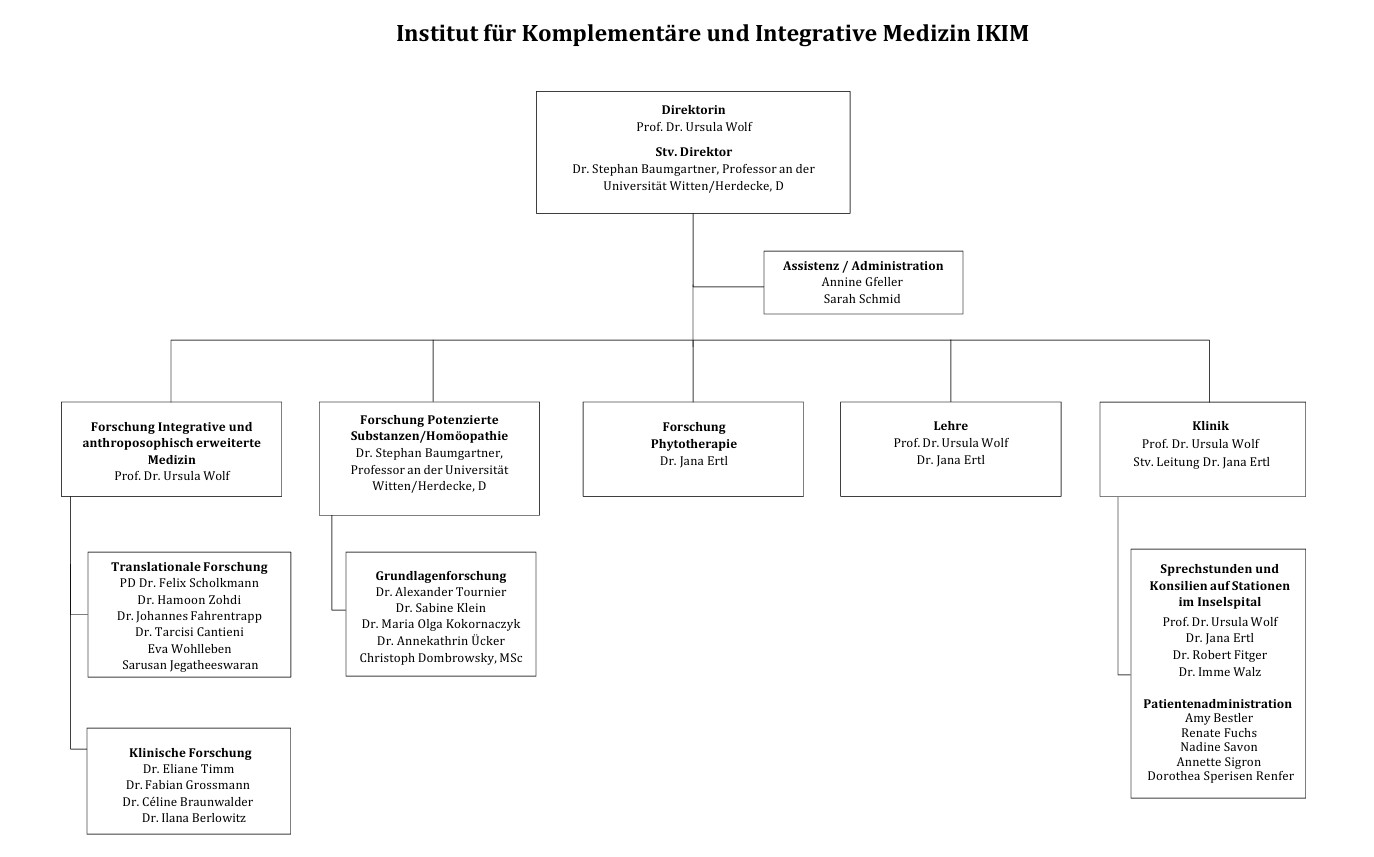 Organigramm IKIM 2025