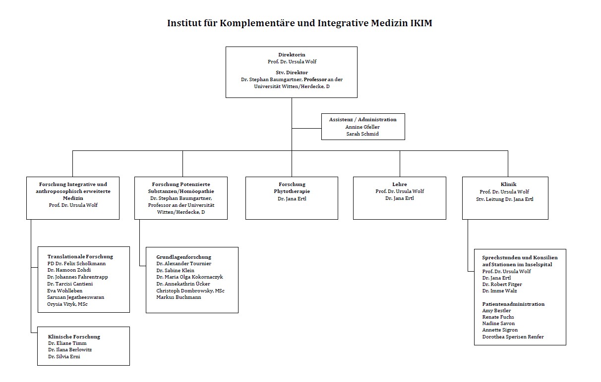 Organigramm IKIM 2026