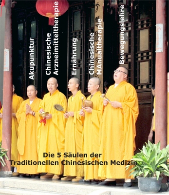 Die 5 Säulen der Traditionellen Chinesischen Medizin